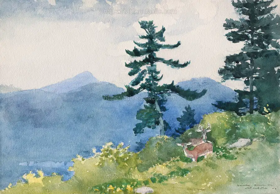 North Woods Club, Adirondacks (The Interrupted Tete-a-Tete) (1892) by Winslow Homer apercu