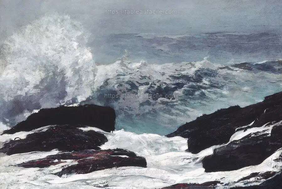 Northeaster (1895) by Winslow Homer 2 apercu