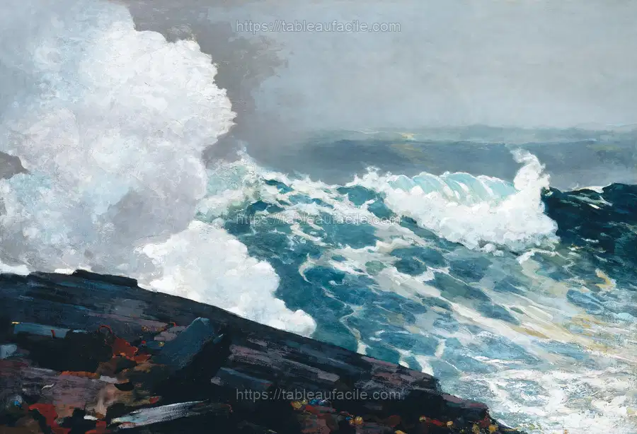 Northeaster (1895) by Winslow Homer apercu