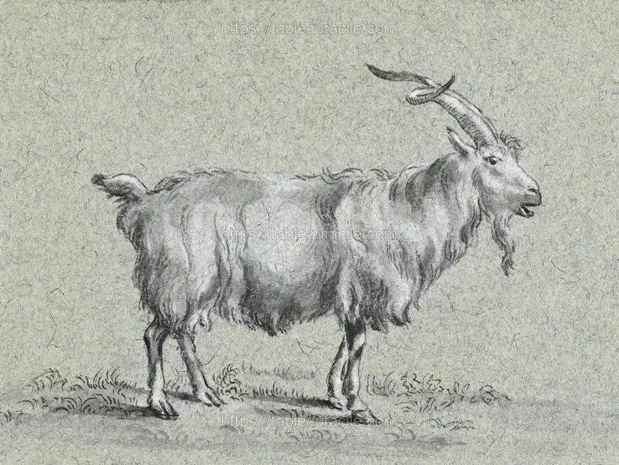 Standing goat by Jean Bernard apercu