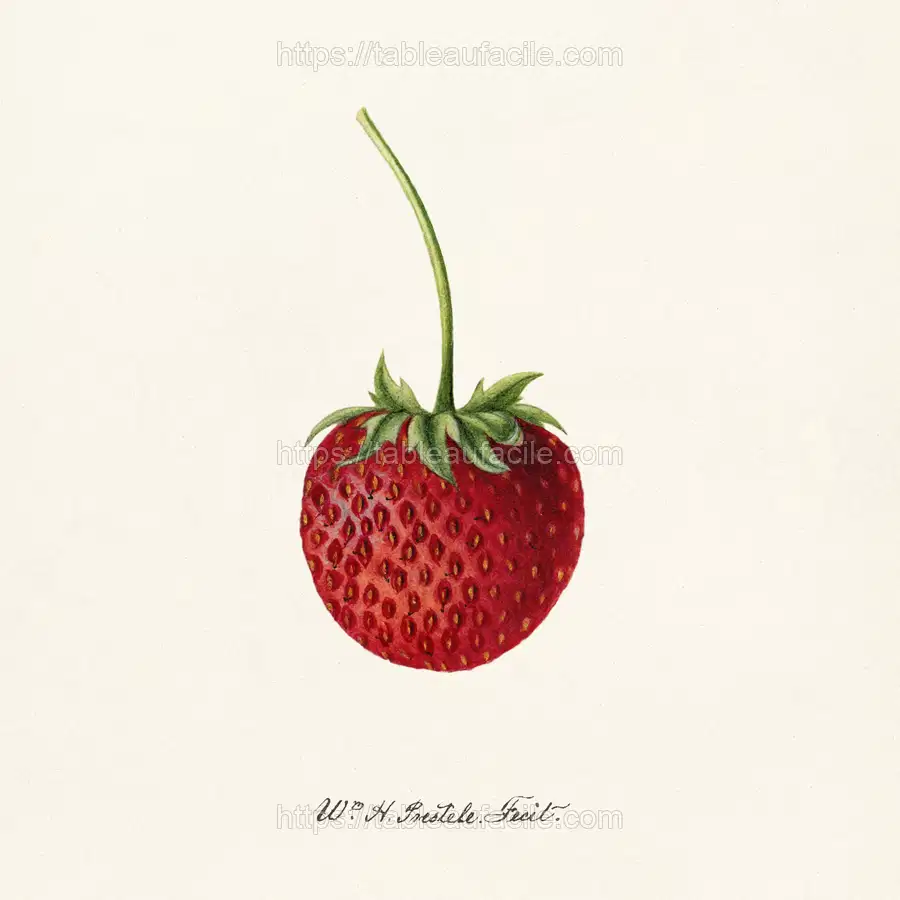 Strawberry (Fragaria) (1891) by Deborah Griscom Passmore apercu