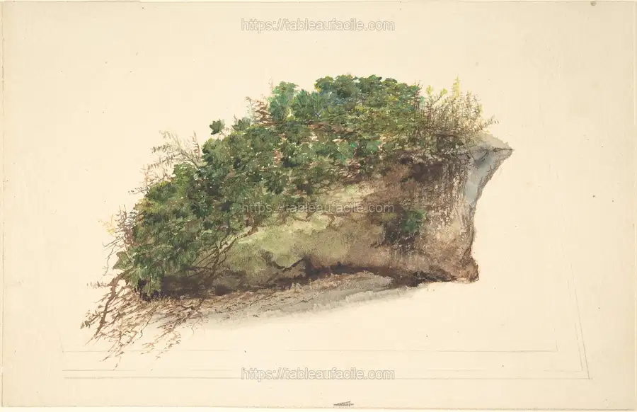 Study of a Piece of Turf apercu