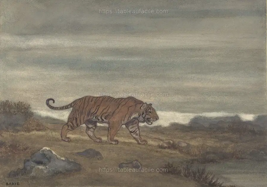 Tiger Approaching Pool apercu