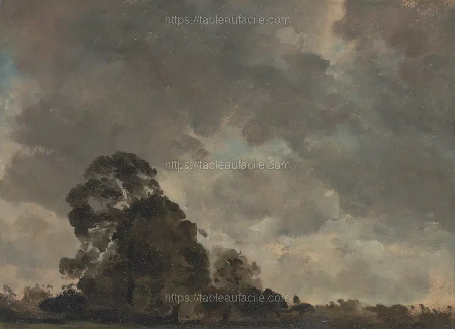 Cloud Study by John Constable (2) apercu