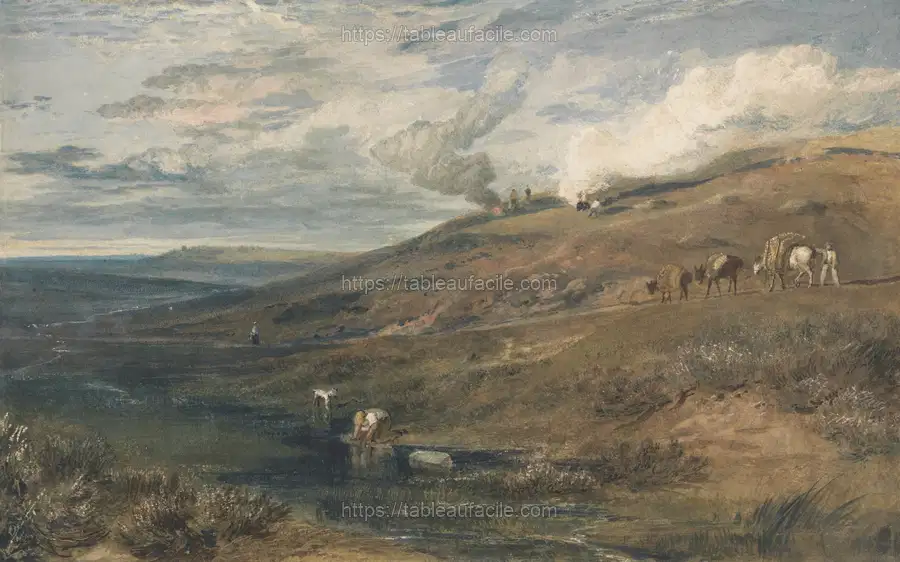 Dartmoor The Source of the Tamar and the Torridge apercu