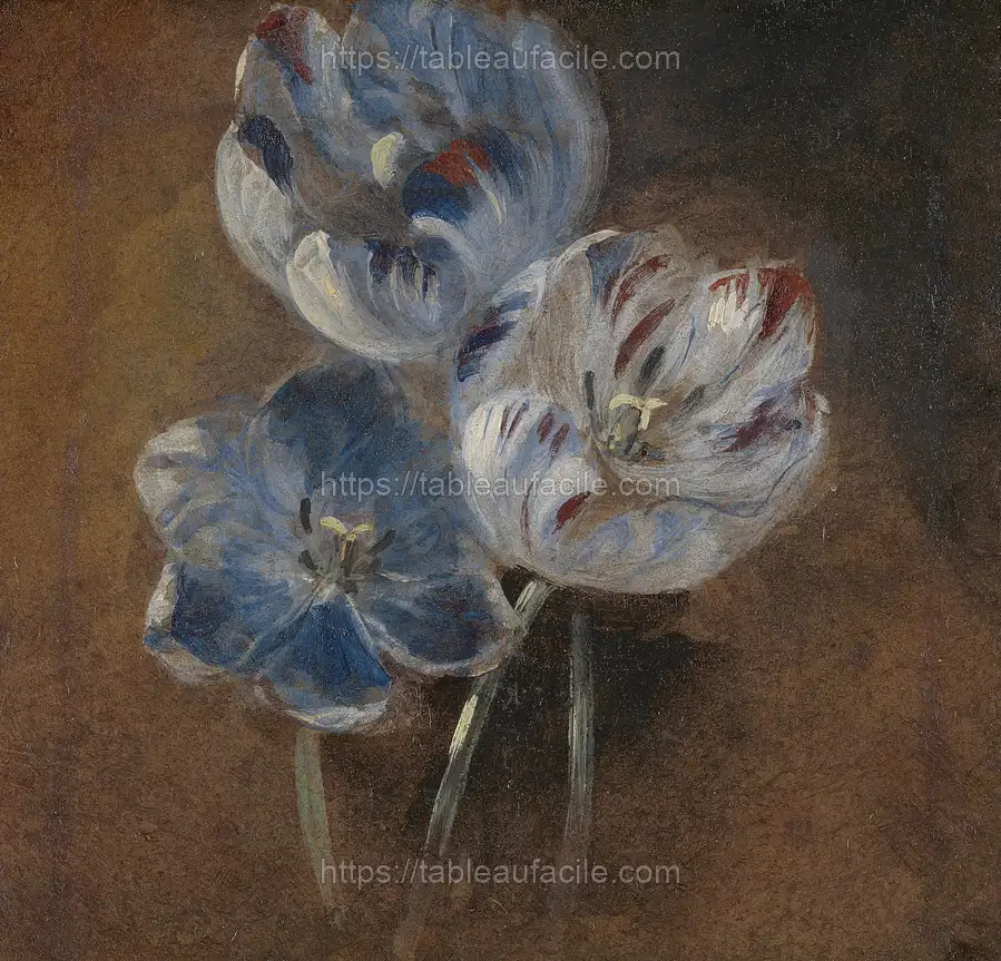 Study of Three Parrot Tulips apercu