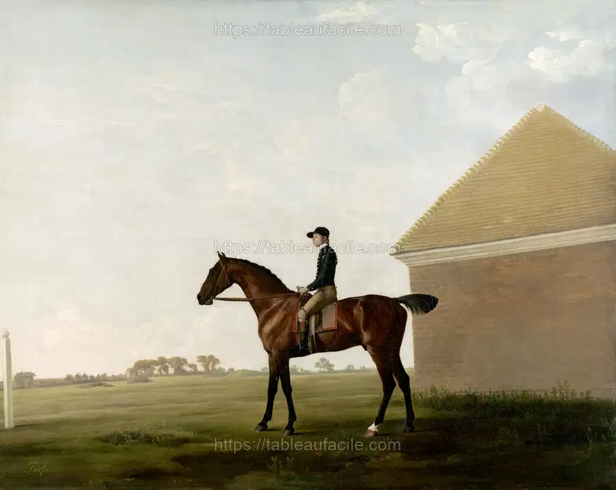 Turf, with Jockey up, at Newmarket (ca. 1766) George Stubbs apercu